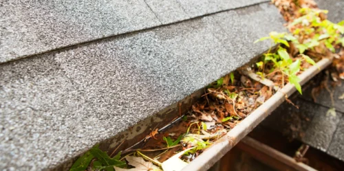 dirty gutter in a residential house